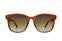 USA-Brown