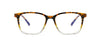 Non-Prescription CJ8838-Glasses for Women and Men-Lenzzy Optical